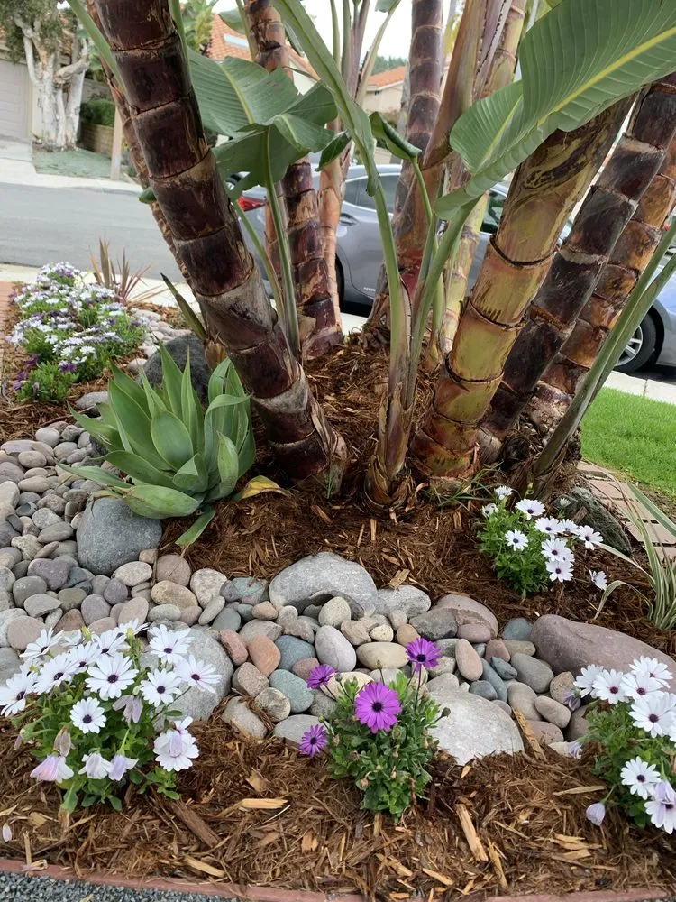 Top-rated landscape design near you across San Diego, CA - Belle Terre Landscapes