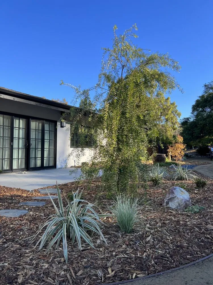 Local yard maintenance with custom design in San Diego, CA by Belle Terre Landscapes