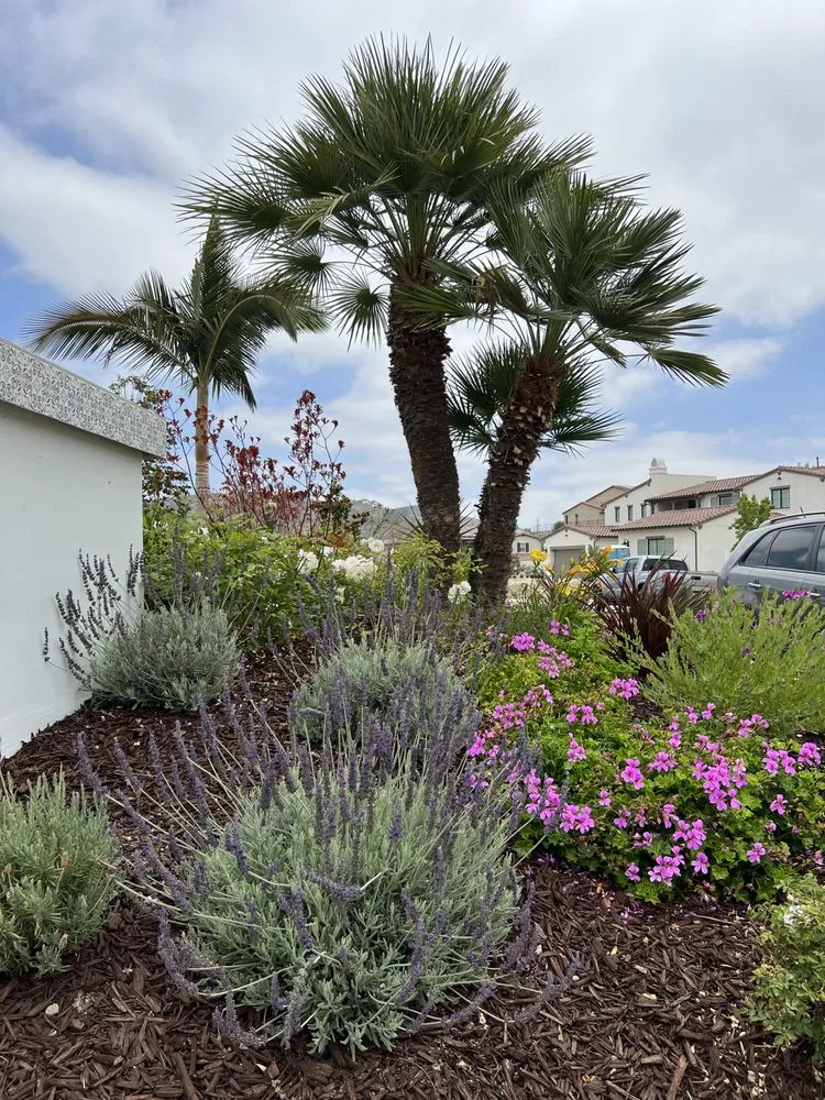Local residential landscaping experts serving San Diego, CA - Belle Terre Landscapes