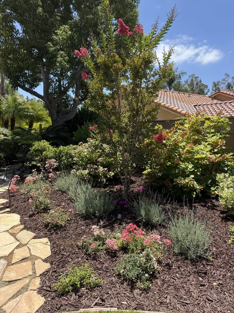 Custom yard cleanup service in San Diego, CA - Belle Terre Landscapes