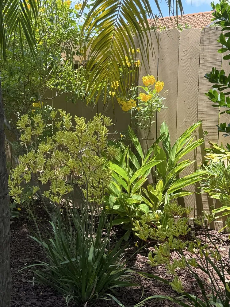 Top-rated yard cleanup service experts serving San Diego, CA - Belle Terre Landscapes