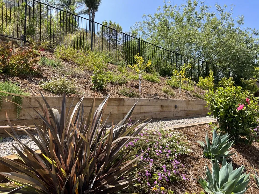 Professional landscape installation with custom design across San Diego, CA - Belle Terre Landscapes