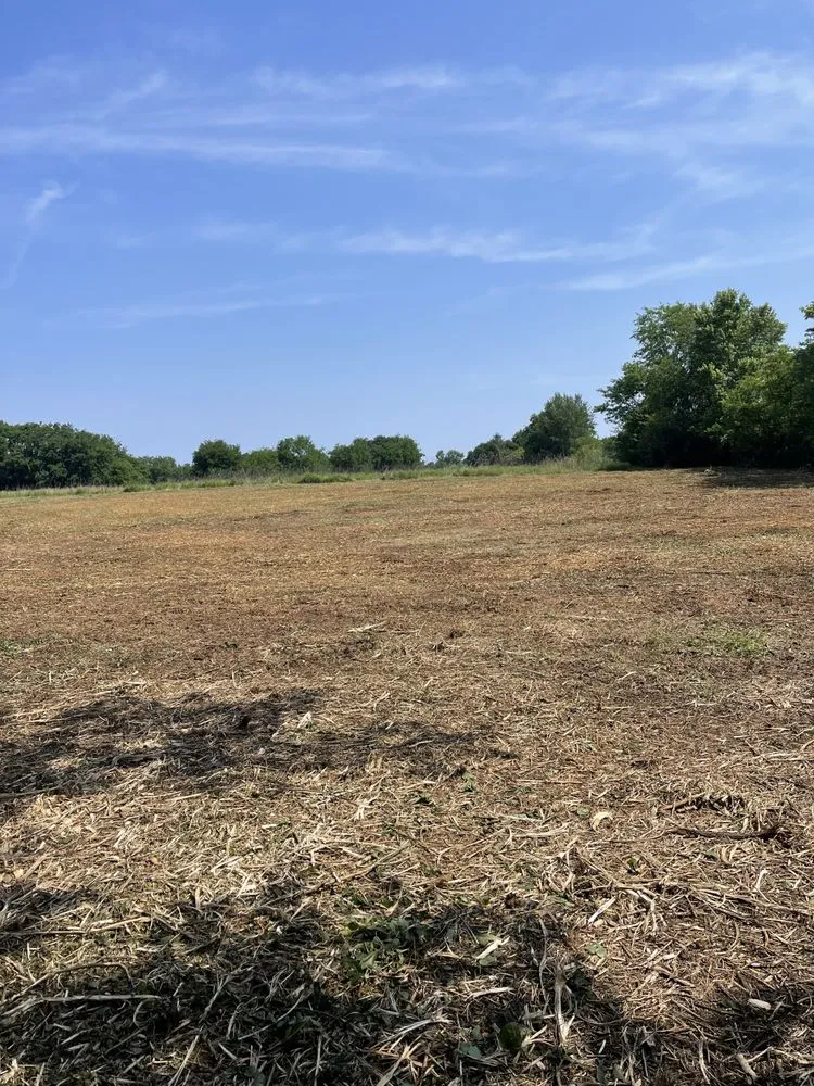 Trusted landscape design for residential properties in Lascassas, TN by Belle Vista Farm