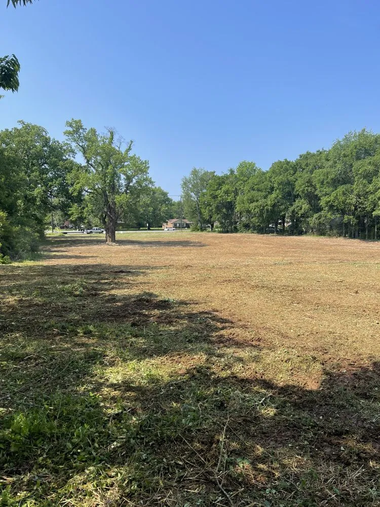 Professional yard cleanup service in Lascassas, TN by Belle Vista Farm