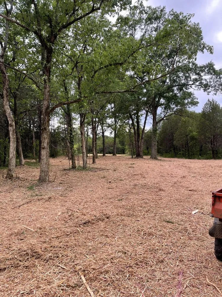 Affordable lawn care service with custom design in Lascassas, TN by Belle Vista Farm