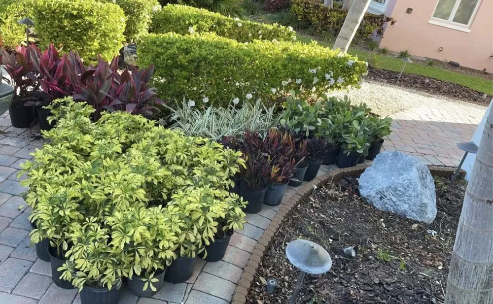 Local garden landscaping in Treasure Island, FL - Belleair Property Maintenance & Landscaping