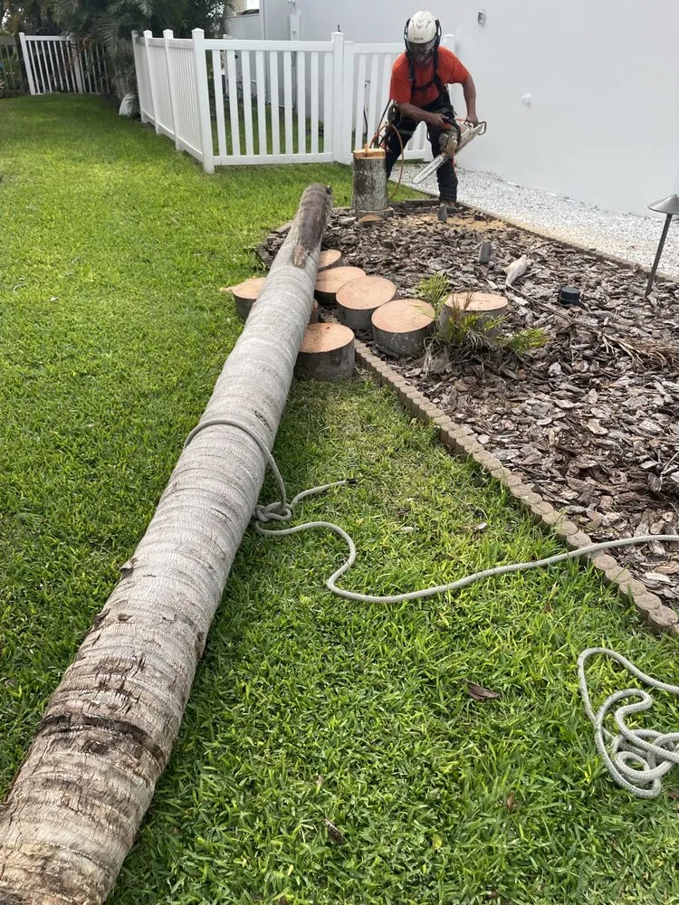 Trusted landscape design with custom design in Treasure Island, FL by Belleair Property Maintenance & Landscaping