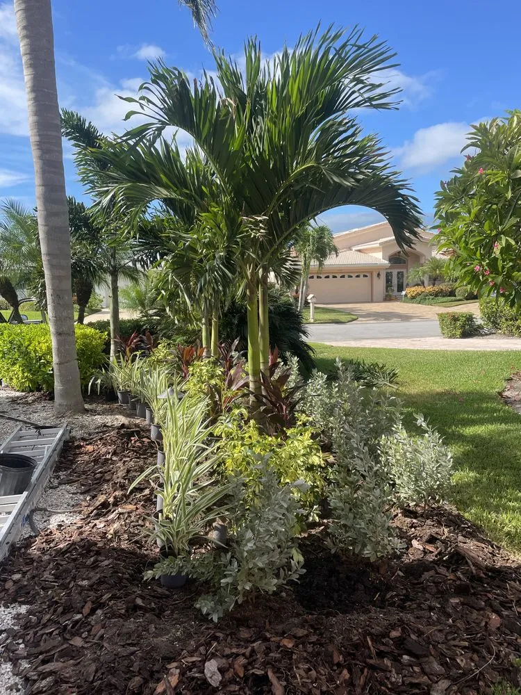 Custom yard cleanup service in Treasure Island, FL by Belleair Property Maintenance & Landscaping