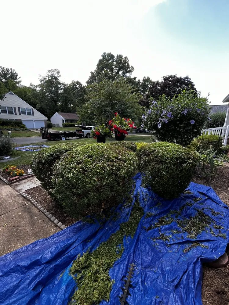 Custom landscape design in Annapolis, MD by Bellem Landscaping Design