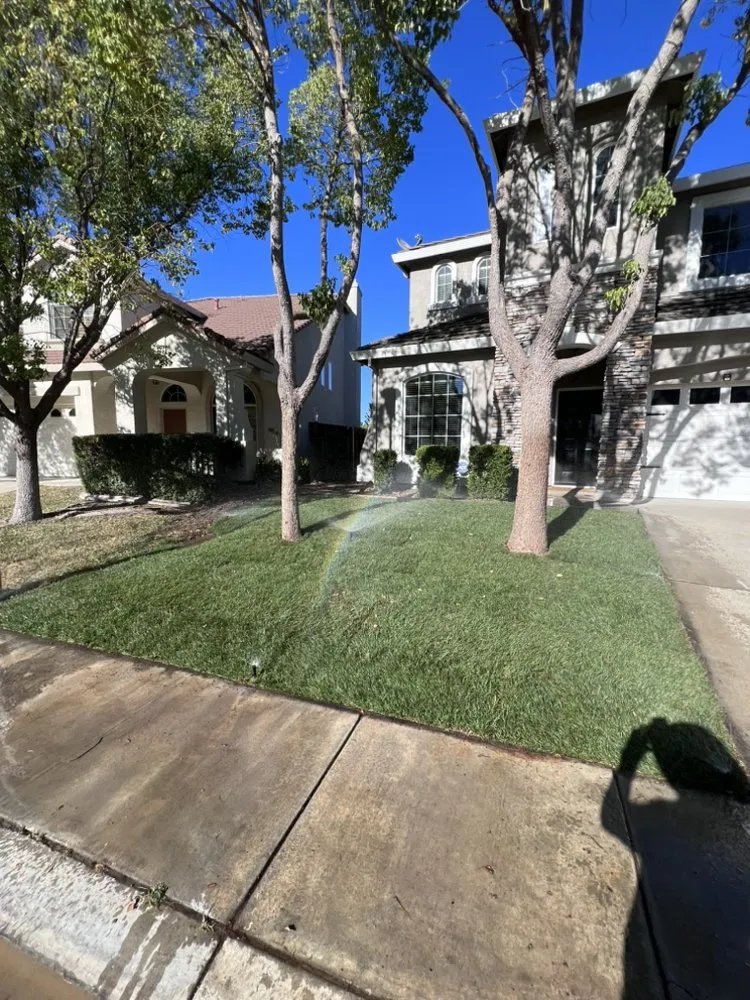 Trusted landscape design for year-round maintenance across Sacramento, CA - Belleview Gardens