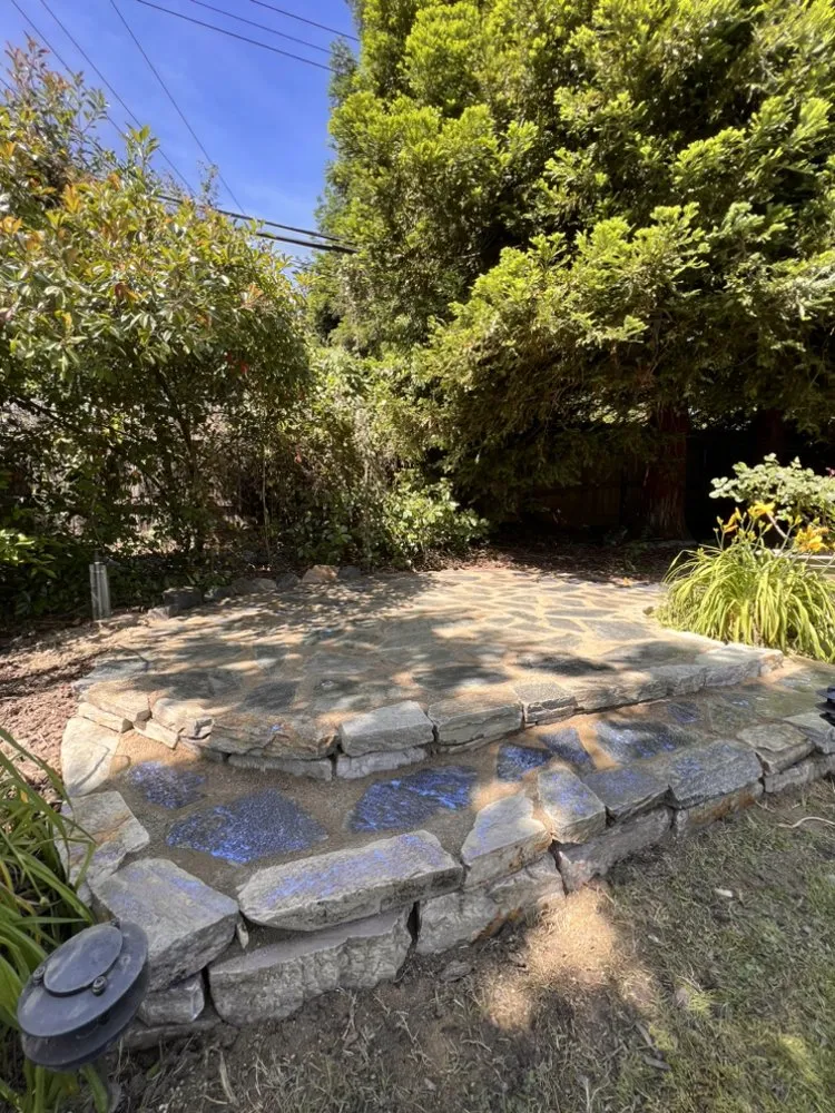 Custom lawn mowing service experts serving Sacramento, CA - Belleview Gardens