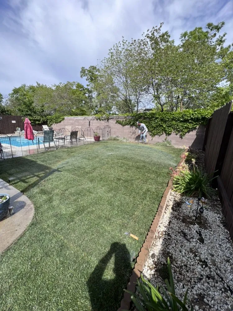 Reliable lawn care service in Sacramento, CA by Belleview Gardens