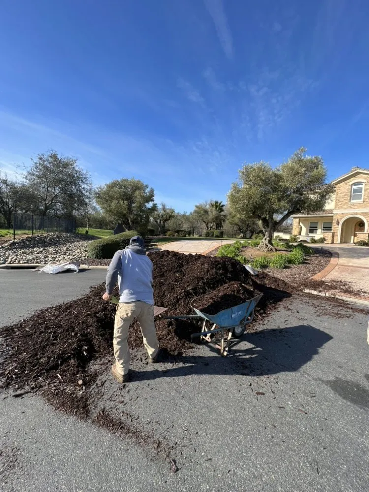 Custom residential landscaping in Sacramento, CA by Belleview Gardens