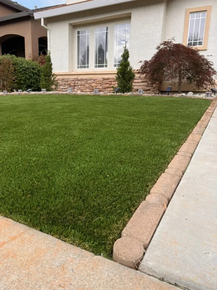 Professional residential landscaping experts serving Sacramento, CA - Belleview Gardens