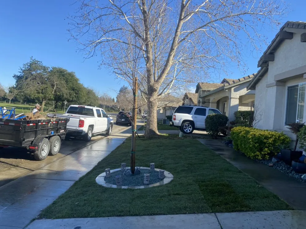 Professional landscape installation for residential properties in Sacramento, CA by Belleview Gardens