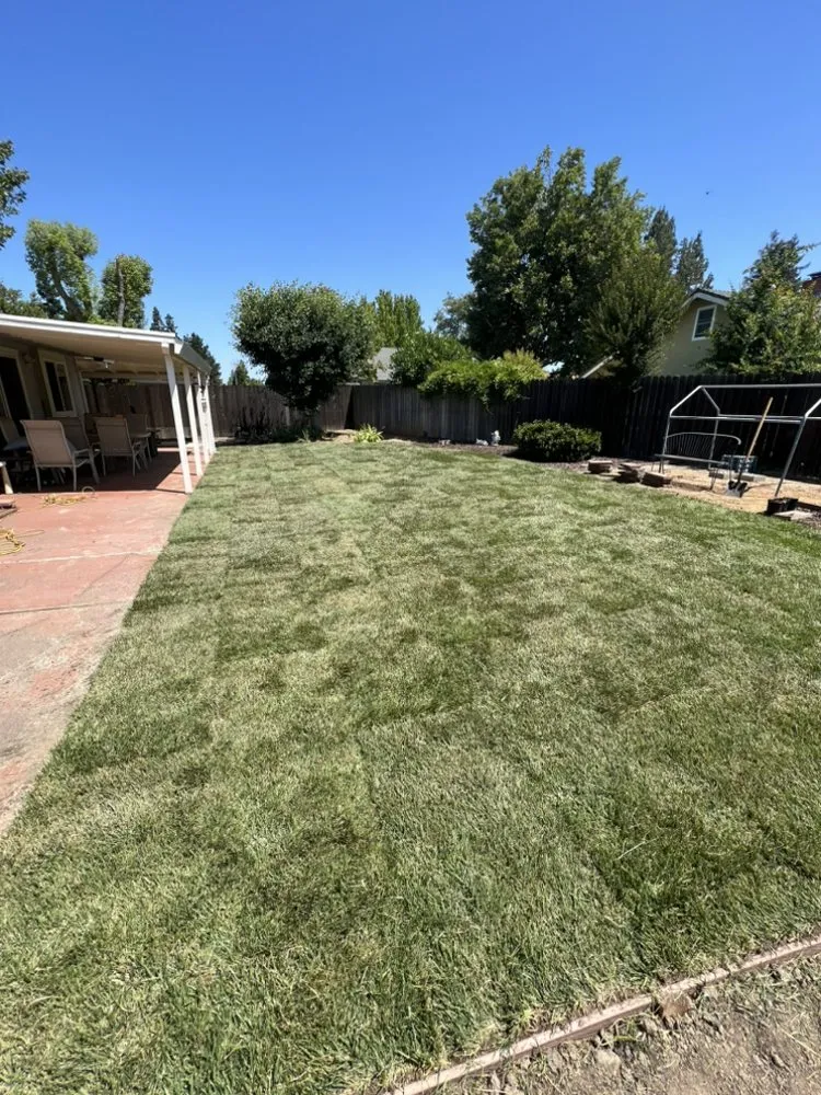 Expert garden landscaping for homes across Sacramento, CA - Belleview Gardens