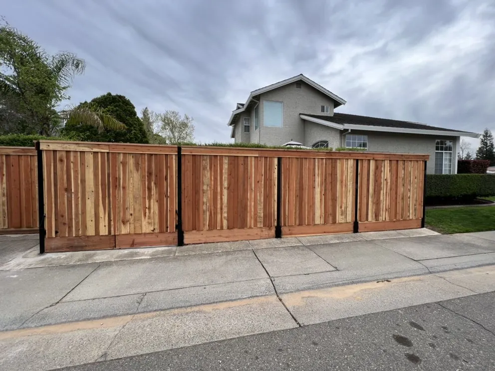 Trusted yard maintenance for residential properties in Sacramento, CA by Belleview Gardens