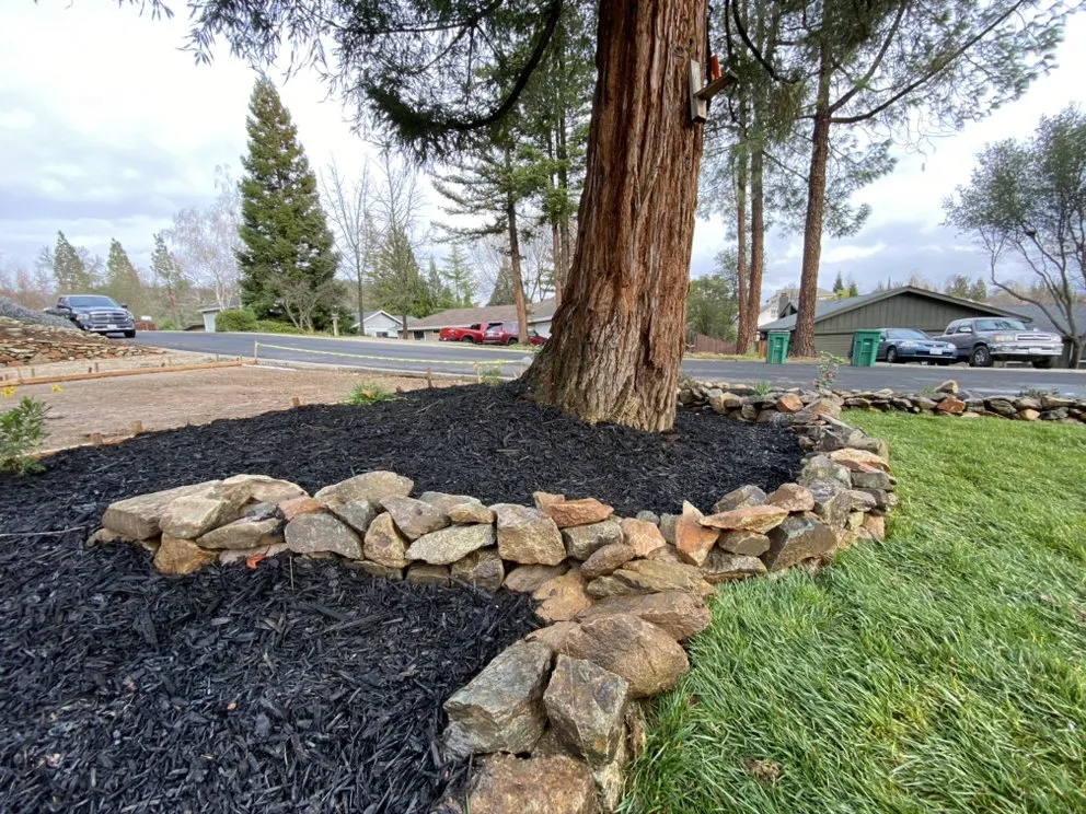 Professional landscape design with custom design in Sacramento, CA by Belleview Gardens