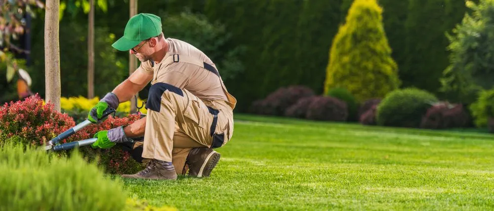 Top-rated yard maintenance in Bellevue, WA - Bellevue Lawn Care