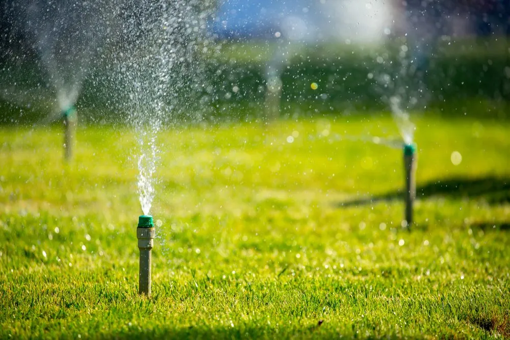 Reliable landscape installation with custom design in Bellevue, WA by Bellevue Lawn Care