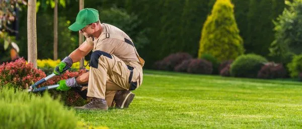 Bellevue Lawn Care