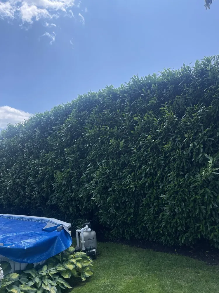 Reliable garden landscaping experts serving Long Beach, NY - Belleza Bros Landscaping