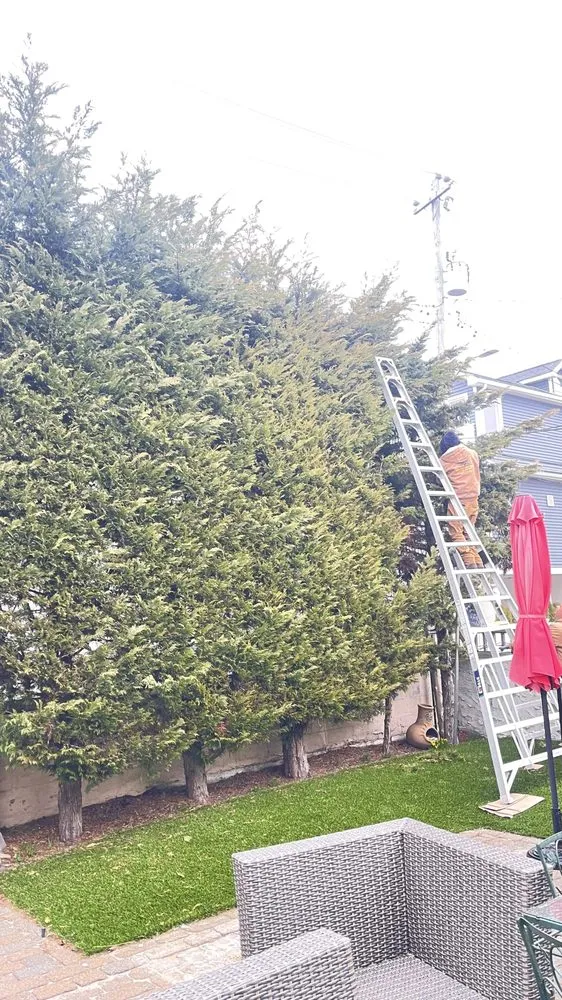 Trusted lawn mowing service for year-round maintenance in Long Beach, NY by Belleza Bros Landscaping