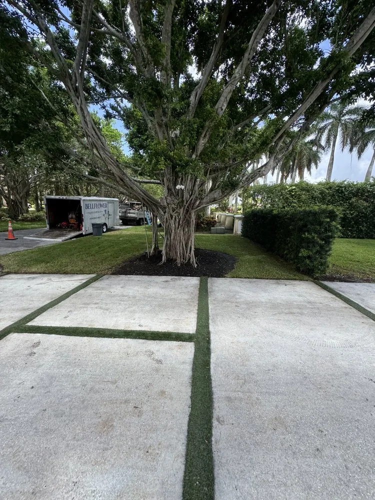 Trusted garden landscaping for residential properties in Delray Beach, FL by Bellflower Land Services