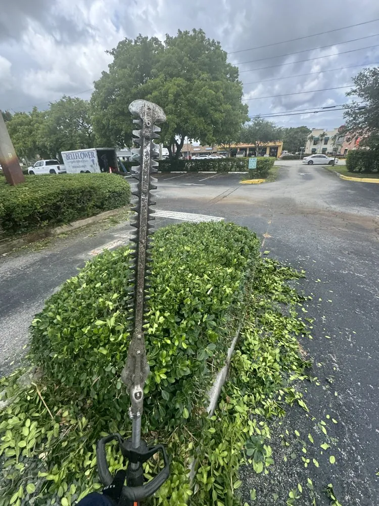 Reliable yard cleanup service for residential properties across Delray Beach, FL - Bellflower Land Services