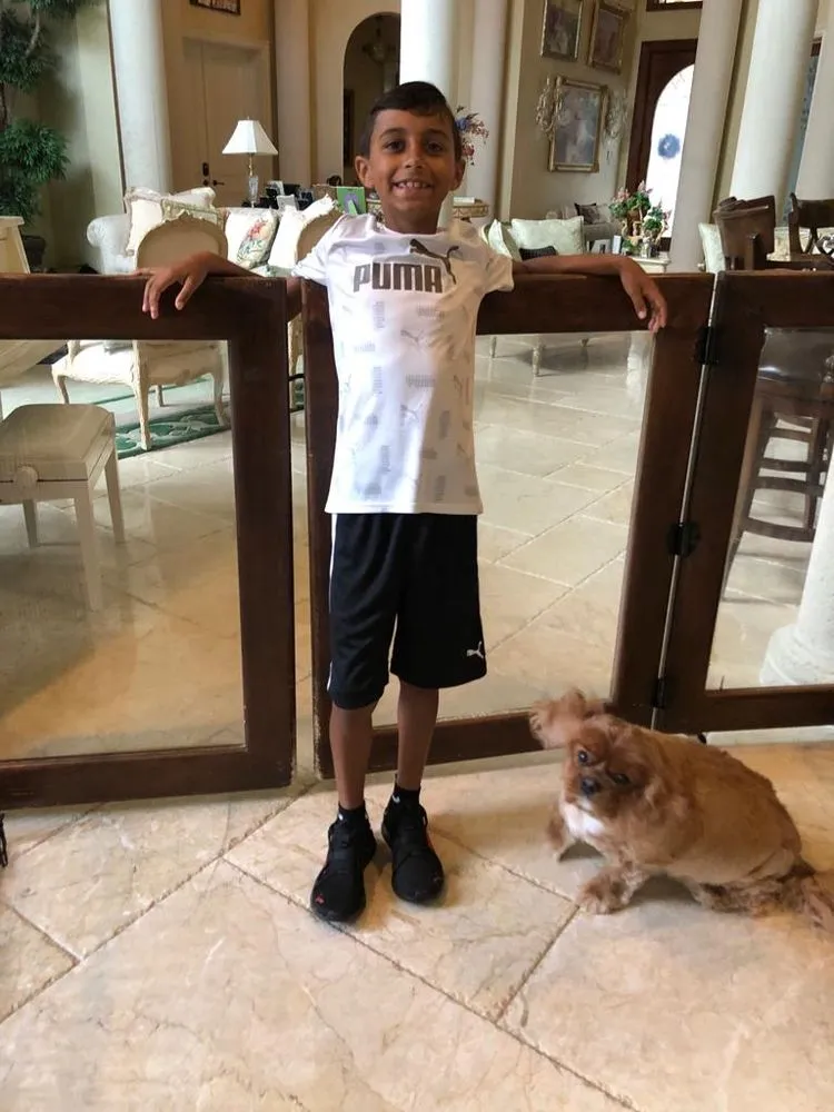 Trusted landscape installation experts serving Delray Beach, FL - Bellflower Land Services