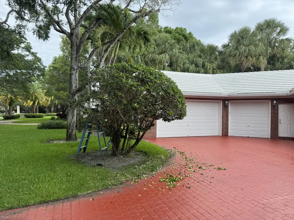 Custom landscaping services for outdoor upgrades across Delray Beach, FL - Bellflower Land Services