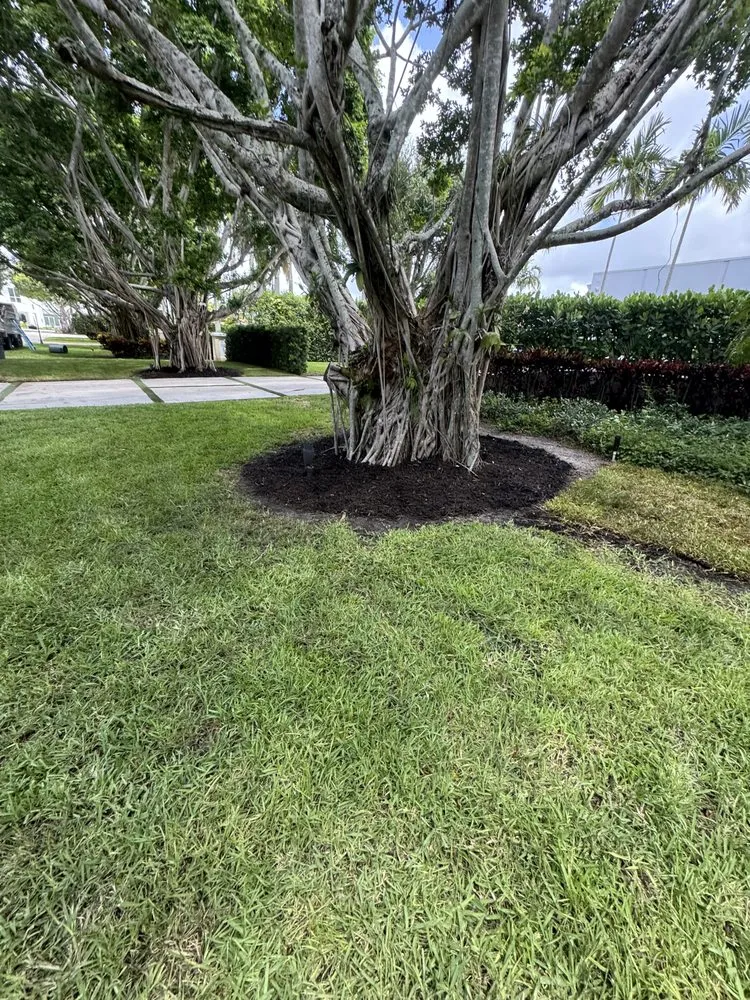 Custom landscape design for beautiful yards in Delray Beach, FL by Bellflower Land Services