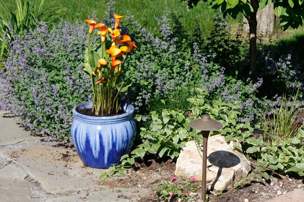 Affordable landscape design experts serving Aquebogue, NY - Bellflower Landscaping