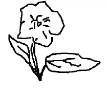 Expert landscape installation for year-round maintenance in Aquebogue, NY by Bellflower Landscaping