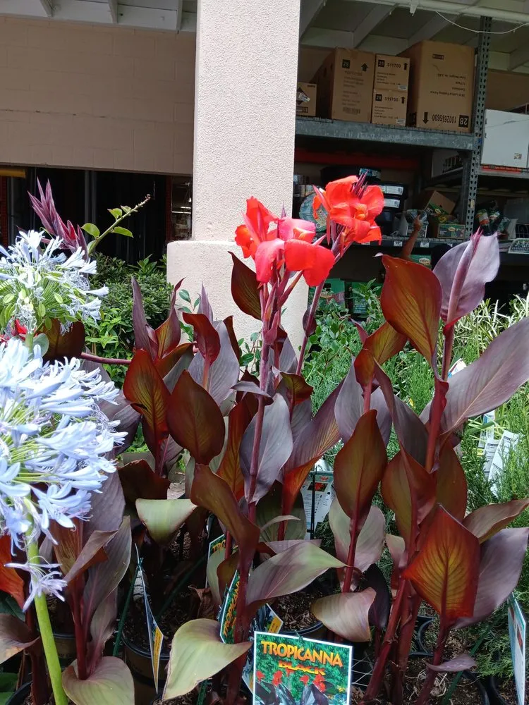 Local garden landscaping with custom design in Bellflower, CA by Bellflower Landscaping