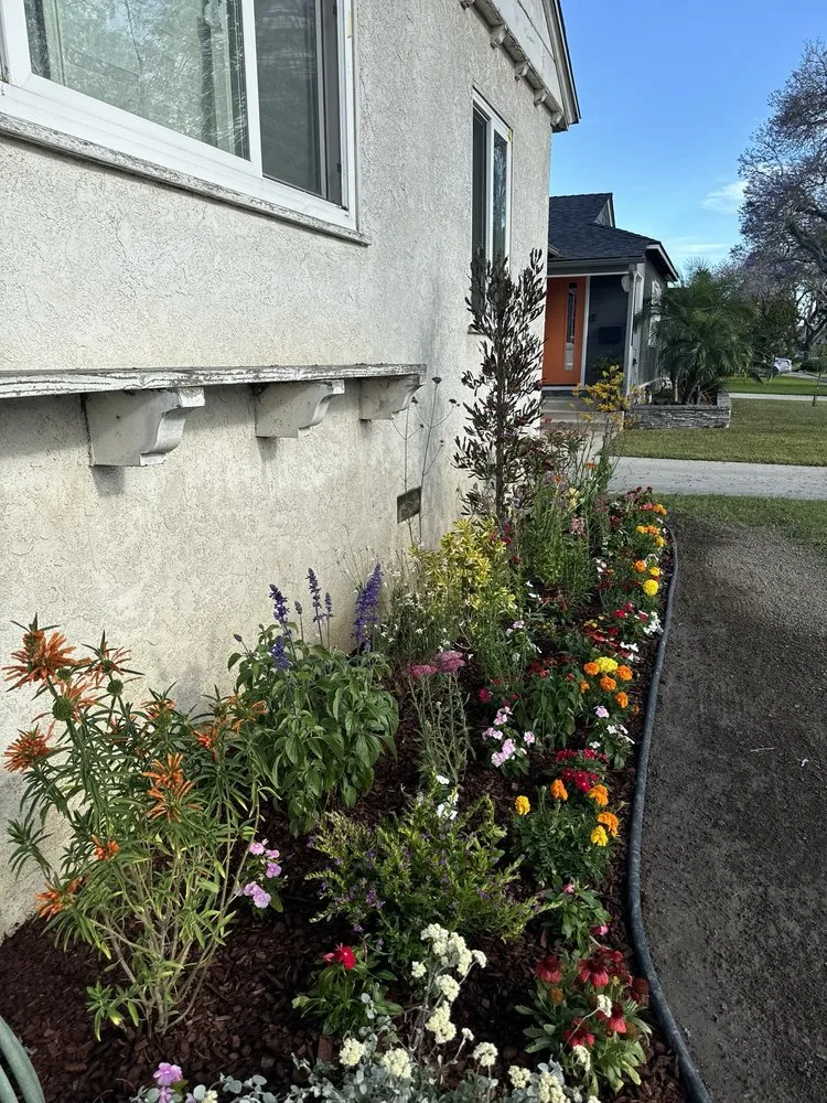 Top-rated outdoor landscaping for year-round maintenance in Bellflower, CA by Bellflower Landscaping