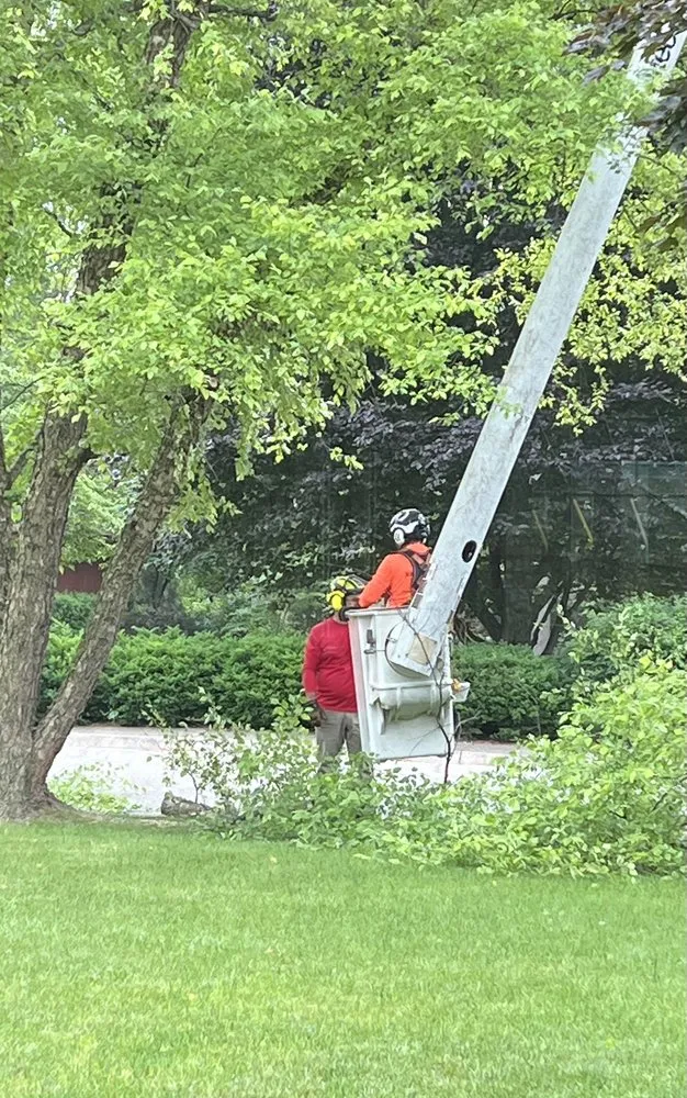 Local lawn care service near you in Lafayette, IN by Bellingers Professional Grounds Maintenance