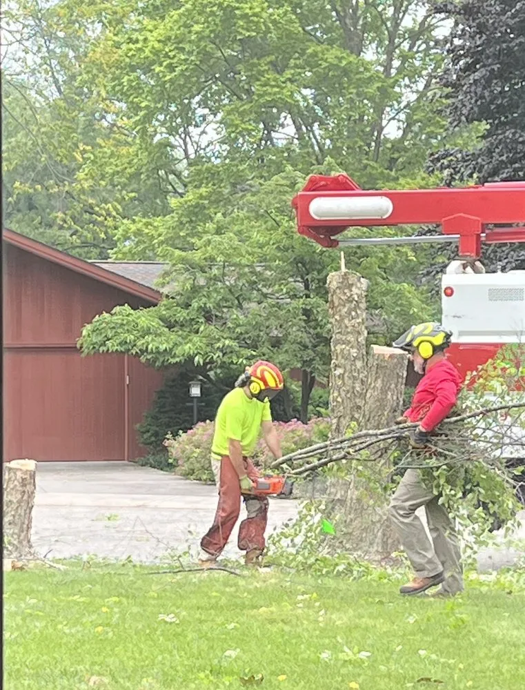 Affordable yard maintenance for homes across Lafayette, IN - Bellingers Professional Grounds Maintenance