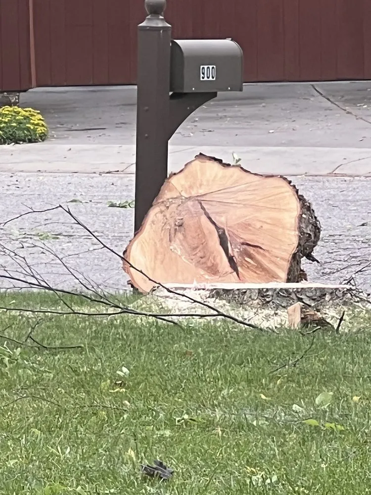 Trusted lawn mowing service in Lafayette, IN - Bellingers Professional Grounds Maintenance