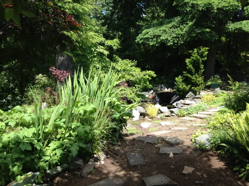 Local lawn care service experts serving Bellingham, WA - Bellingham Lawn Care