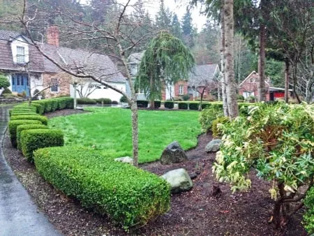 Trusted landscaping services in Bellingham, WA - Bellingham Lawn Care