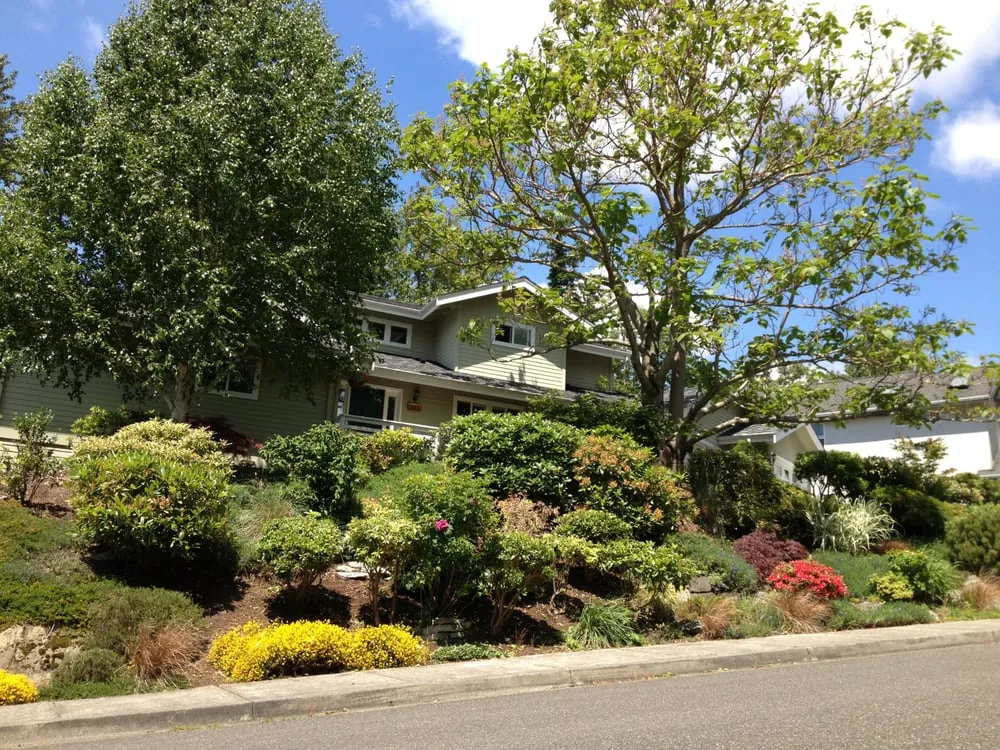 Trusted landscaping services in Bellingham, WA by Bellingham Lawn Care