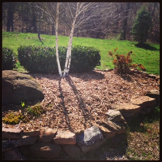 Top-rated residential landscaping in Fayetteville, AR by Bellis Lawn & Gardens