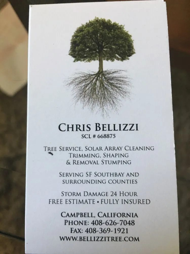 Professional garden landscaping for homes across Sonora, CA - Bellizzi Tree Service
