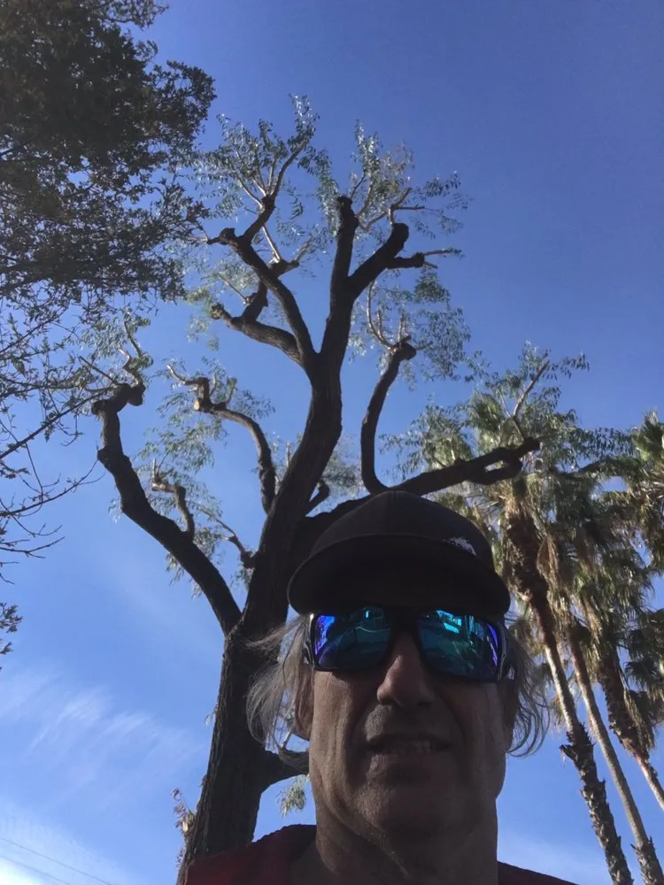 Expert yard cleanup service in Sonora, CA by Bellizzi Tree Service