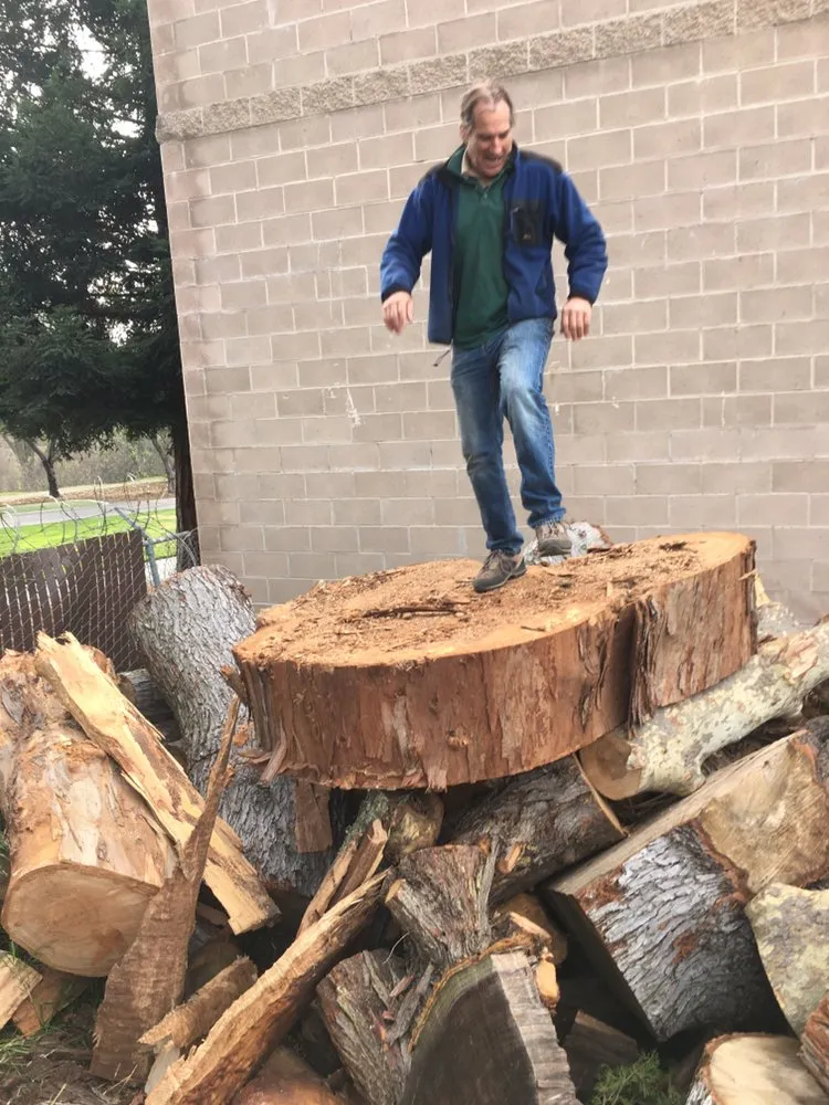 Top-rated garden landscaping experts serving Sonora, CA - Bellizzi Tree Service