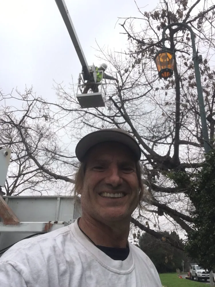 Custom landscaping services in Sonora, CA by Bellizzi Tree Service