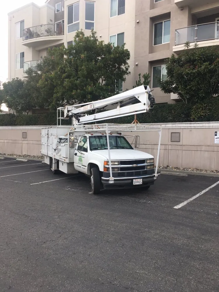 Custom lawn mowing service in Sonora, CA - Bellizzi Tree Service