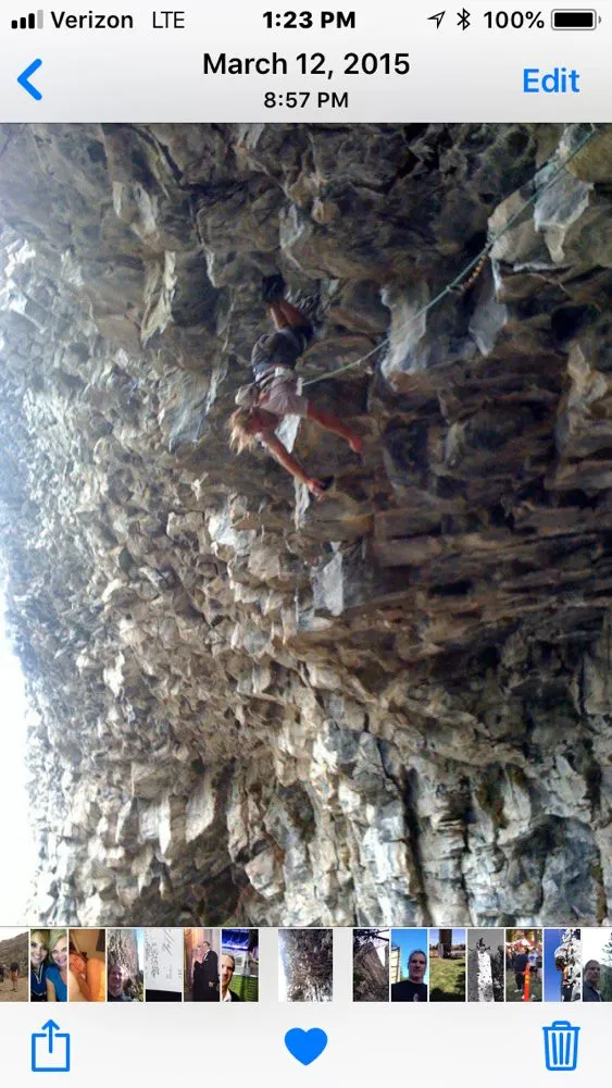 Trusted yard maintenance in Sonora, CA - Bellizzi Tree Service