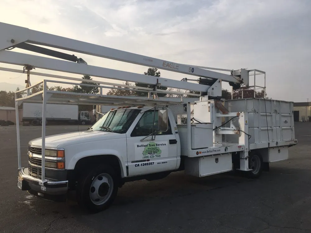 Trusted outdoor landscaping for homes in Sonora, CA by Bellizzi Tree Service